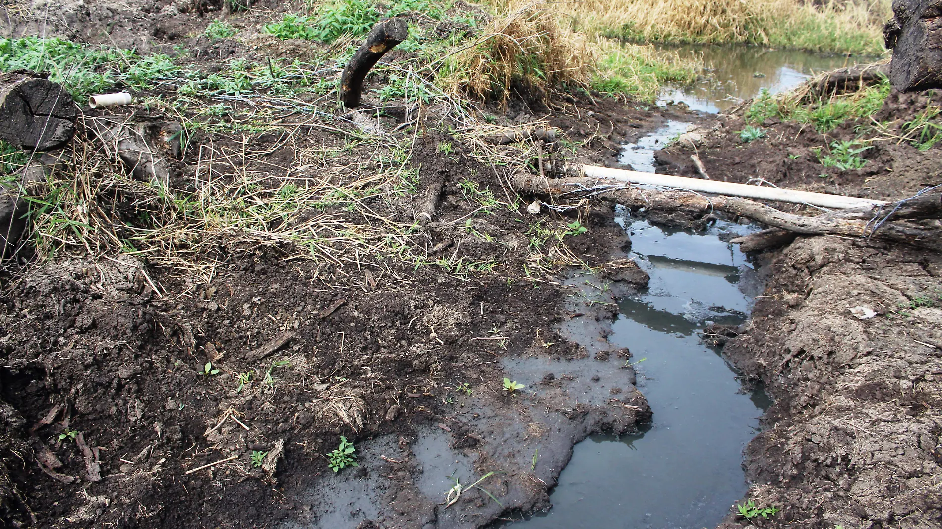 Río Santiago contaminado